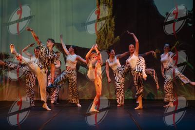 SHOW_00648.jpg